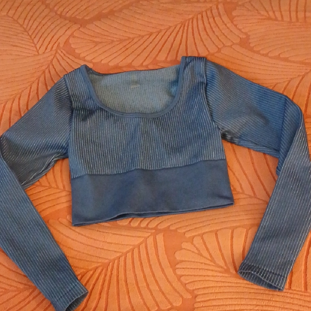 Aerie OFFLINE Blue Ribbed Long Sleeve Crop Top